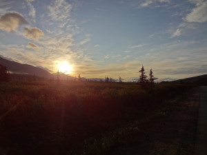 Denali - Landscape of Sunrise on Park Road
