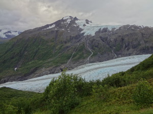Kenai Fjords - Landscape of the Exit Glacier 3