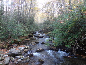 Great Smoky Mountains - Creek