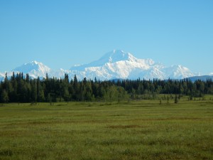Denali - Best Landscape of Mount McKinley