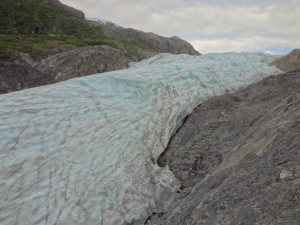 Kenai Fjords - Best Exit Glacier