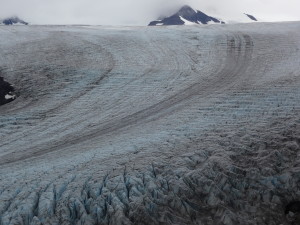 Kenai Fjords - Landscape of Exit Glacier 1