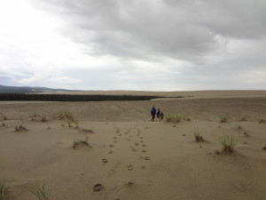 Kobuk Valley - Hiking at Great Kobuk Sand Dunes 1
