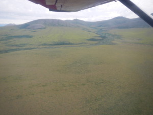 Kobuk Valley - Landscape on the plane going to the National Park 6