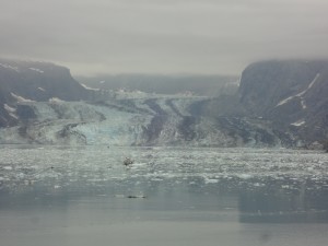 Glacier Bay - Landscape at John Hopkins Glacier Close Up