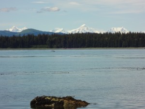 Glacier Bay - Landscape at Halibut Point with Mountains and a Whale